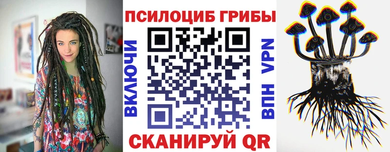 Псилоцибиновые грибы GOLDEN TEACHER Кузнецк